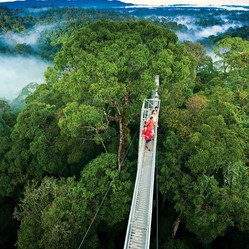 Puentes Colgantes de Selvatura en Monteverde 