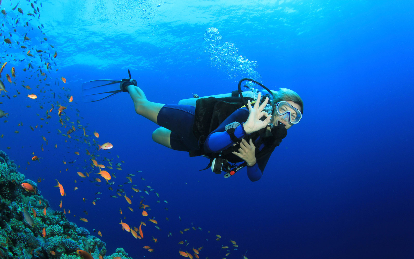 Scuba Diving in Cost Rica
